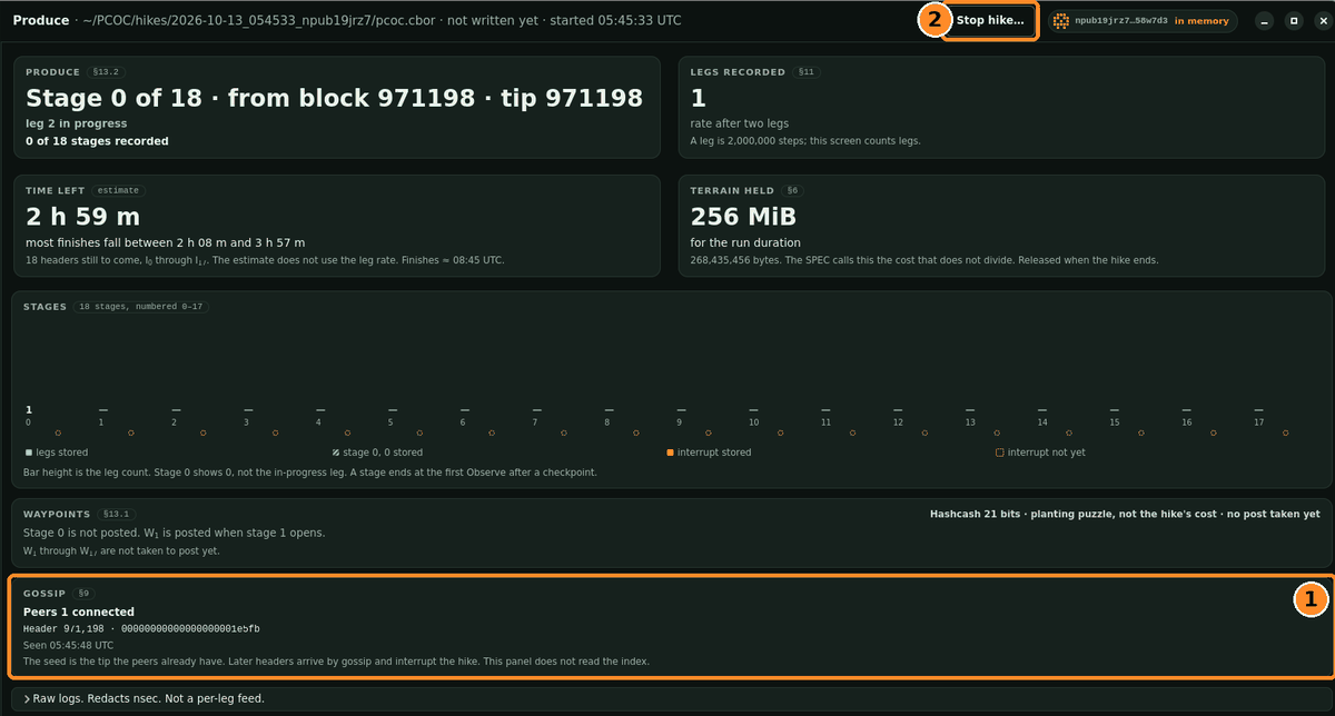 Live hike view with the Gossip panel showing one peer and a header height.